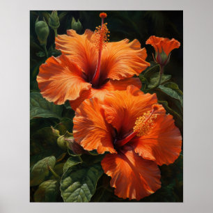 Orange Hibiscus Flowers Art Print Poster