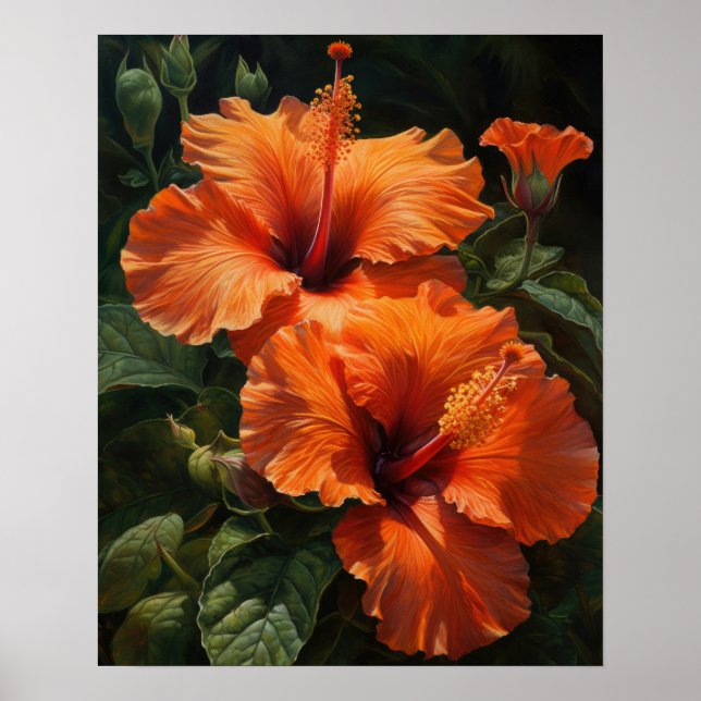 Orange Hibiscus Flowers Art Print Poster (Front)