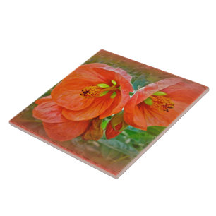 Orange Hibiscus Flowers Tile