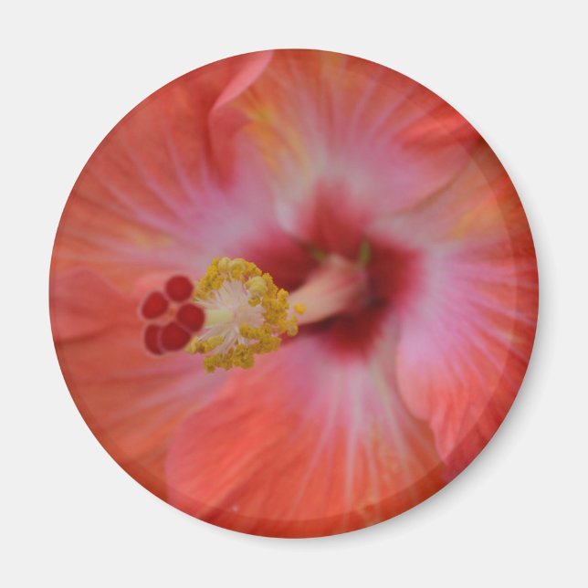 Orange Hibiscus Magnet (Front)