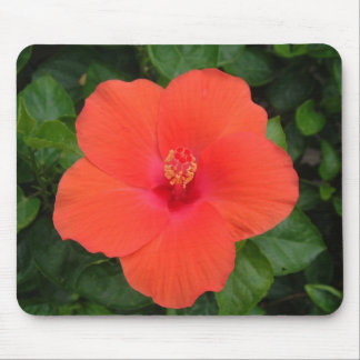 Orange Hibiscus Mousepad