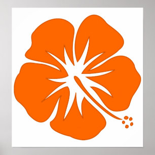 Orange Hibiscus Poster