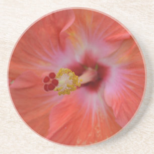 Orange Hibiscus Sandstone Coaster
