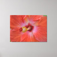 Orange Hibiscus Wrapped Canvas