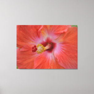 Orange Hibiscus Wrapped Canvas