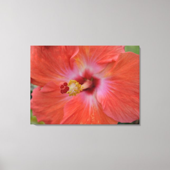 Orange Hibiscus Wrapped Canvas (Front)