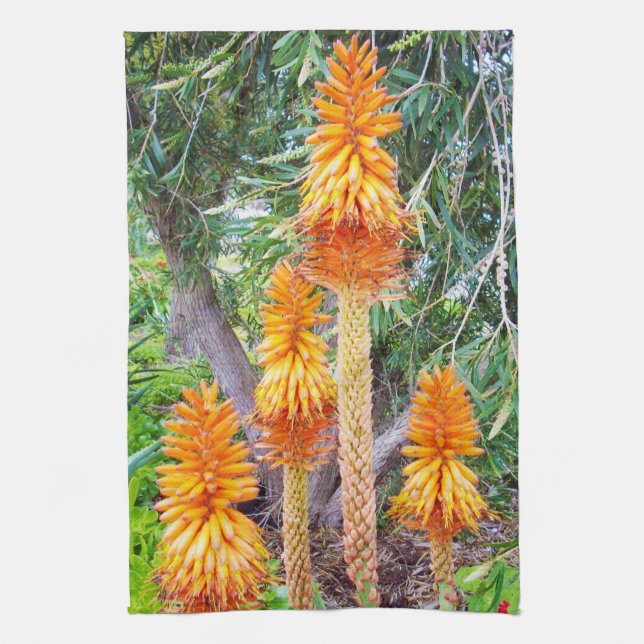 Orange Hot Poker Flowers, Kitchen Towel (Vertical)