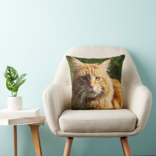 Orange House Cat Throw Pillow