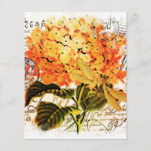 Orange hydrangea