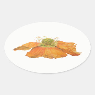 Orange Icelandic Poppy Oval Stickers, Glossy Sticker