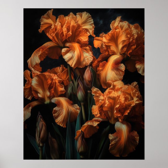 Orange Iris Flowers Art Print Poster (Front)