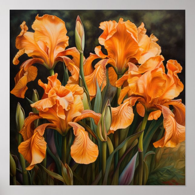 Orange Irises Flower Art Print Poster (Front)