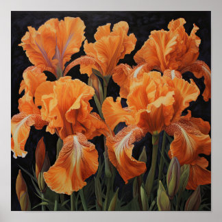 Orange Irises Flower Art Print Poster