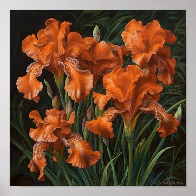 Orange Irises Flower Art Print Poster (Front)