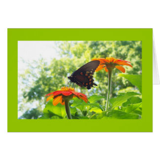 Orange is My Happy Colour