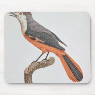 Orange Jay Mouse Pad