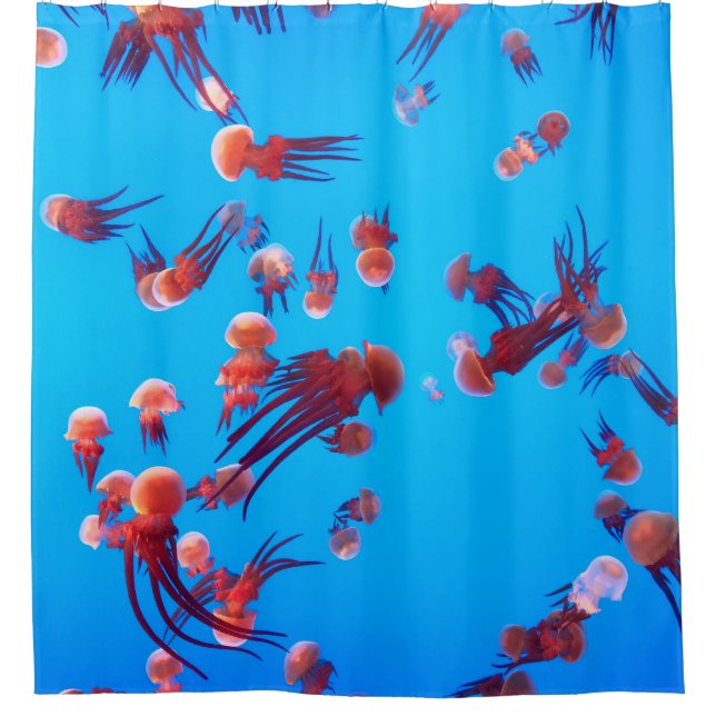 ORANGE JELLY FISH (Front)