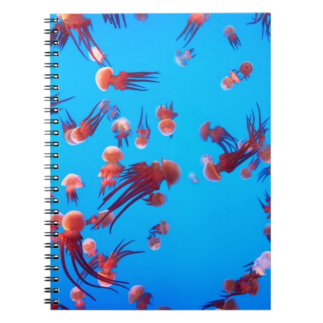 ORANGE JELLY FISH NOTEBOOK (Front)