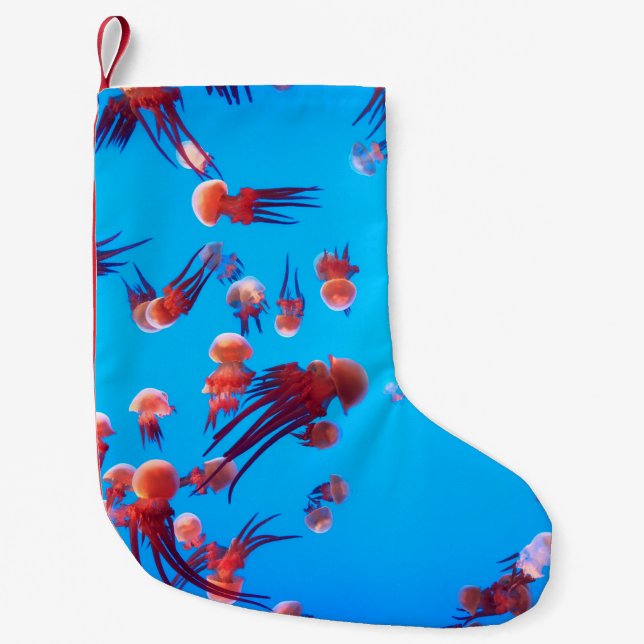 ORANGE JELLY FISH SMALL CHRISTMAS STOCKING (Front)