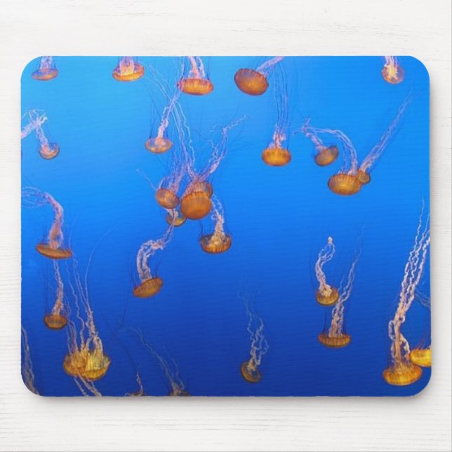 Orange Jellyfish Mouse Pad (Front)