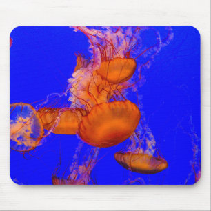 Orange Jellyfish Mousepad   Blue Ocean Desk Art