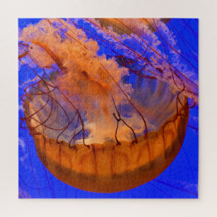 Orange Jellyfish Puzzle Ocean Sea Life Art