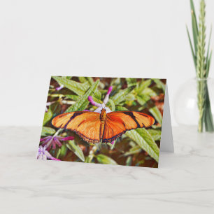 Orange Julia Butterfly Birthday Card
