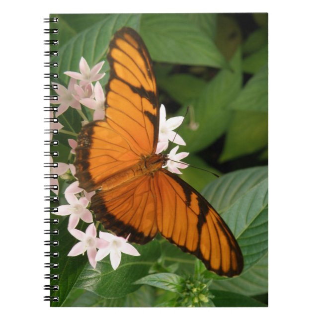Orange Julia Butterfly Notebook (Front)