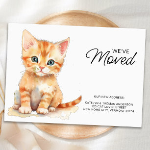 Orange Kitten Cat Moving New Home We've Moved Announcement