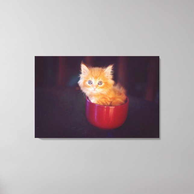 Orange Kitten In A Red Mug Canvas Print (Front)