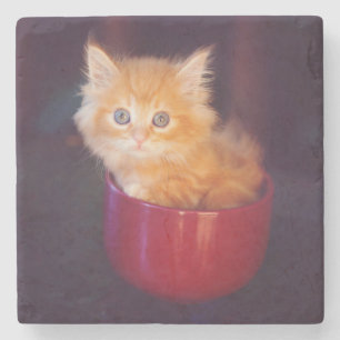 Orange Kitten In A Red Mug Stone Coaster