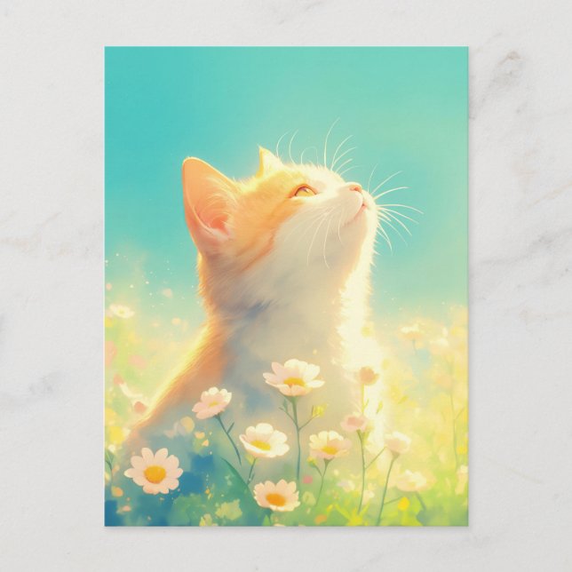 Orange Kitten in White Daisy Meadow Postcard (Front)