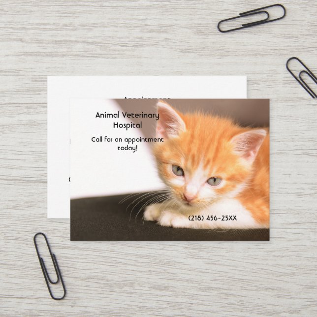 Orange Kitten Pet Care Appointment Business Card (Front/Back In Situ)