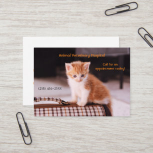 Orange Kitten Pet Care Appointment  Business Card