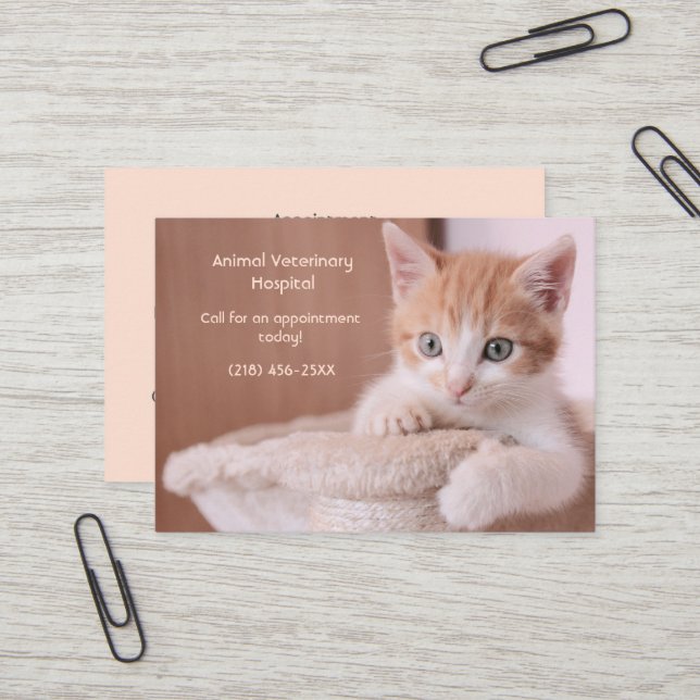 Orange Kitten  Pet Care Appointment  Business Card (Front/Back In Situ)