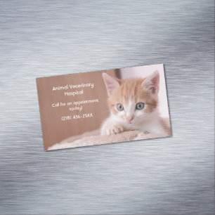 Orange Kitten Pet Care  Magnetic Business Card
