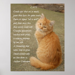 Orange Kitten Photo With Poem Poster