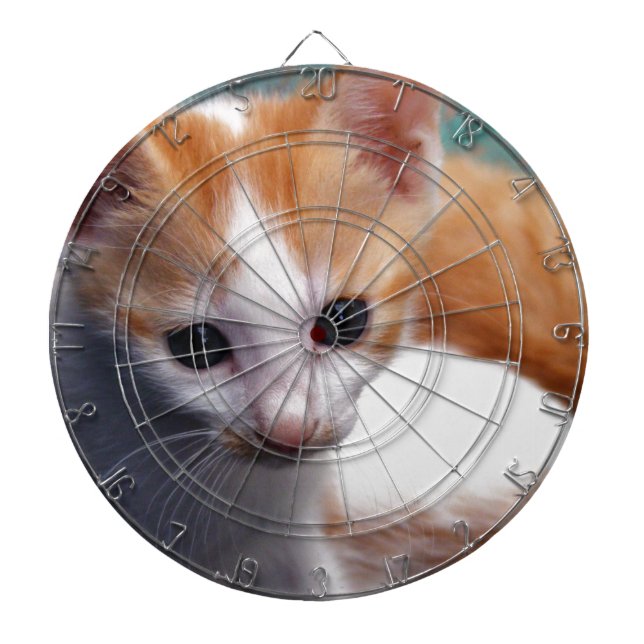 Orange Kitten Photograph Dartboard (Front)