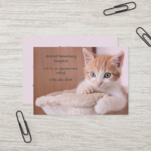 Orange Kitten Pink Pet Care Appointment Business Card