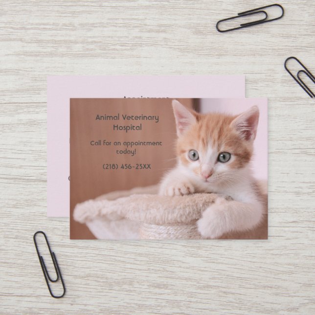  Orange Kitten Pink Pet Care Appointment   Business Card (Front/Back In Situ)