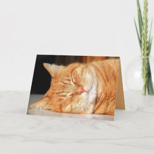 Orange Kitty Cat Cute Customizable Card