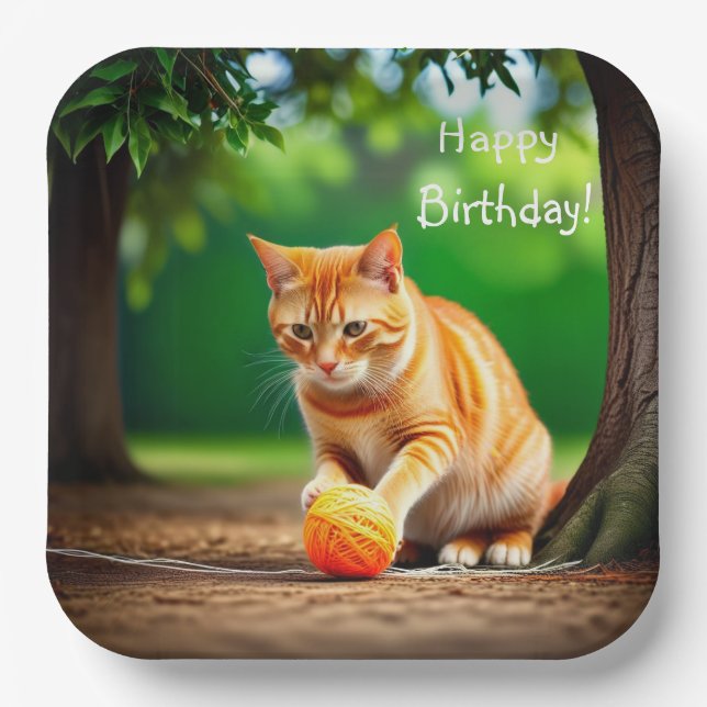 Orange Kitty Paper Plate (Front)