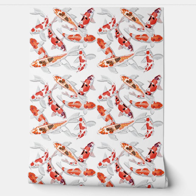 Orange Koi fish  Wallpaper (Unrolling)