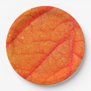 Orange Leaf Fall Photo Rustic Autumn Wedding Paper Plate