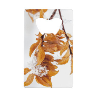 Orange Leafs in Winter Credit Card Bottle Opener