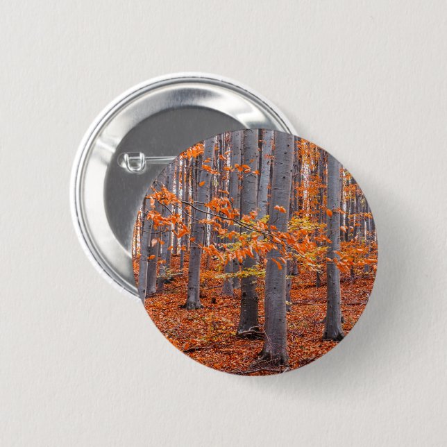 Orange Leaves Fall Forest Photo 2 Inch Round Button (Front & Back)
