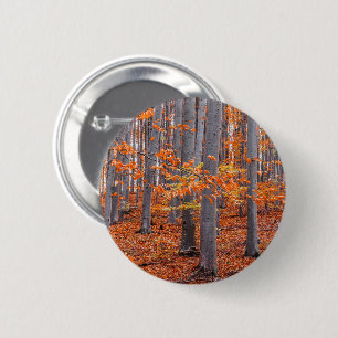 Orange Leaves Fall Forest Photo 2 Inch Round Button