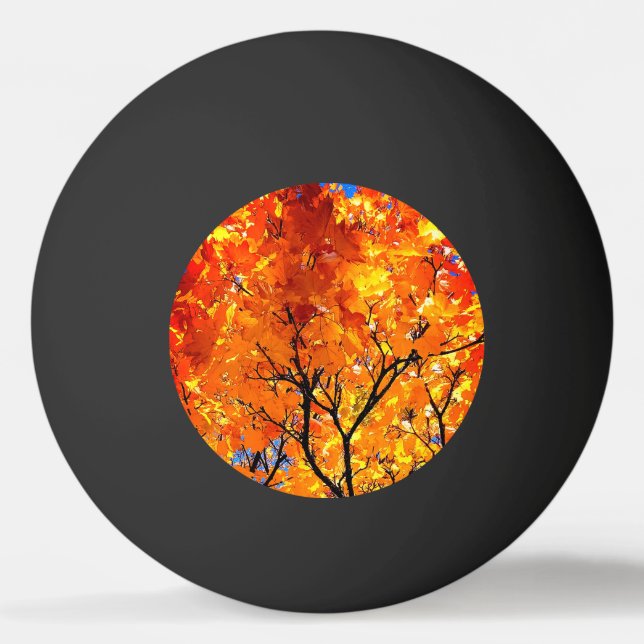 Orange leaves ping pong ball (Front)