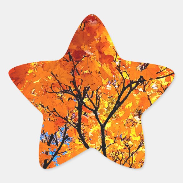 Orange leaves star sticker (Front)