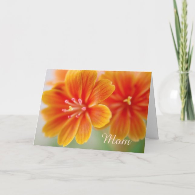 Orange Lewisia Floral Mothers Day Card (Front)